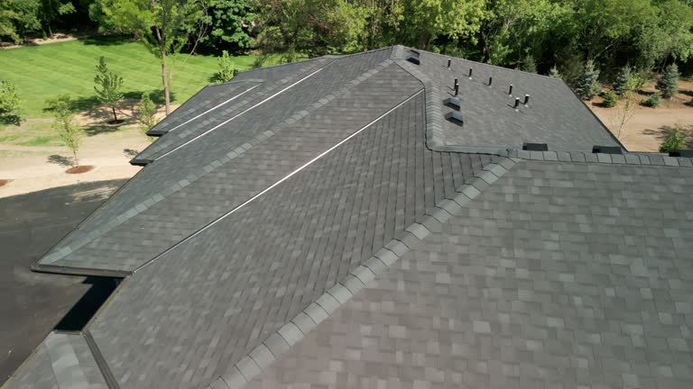 Best Asphalt Shingle Roofing  in Cheboygan, MI