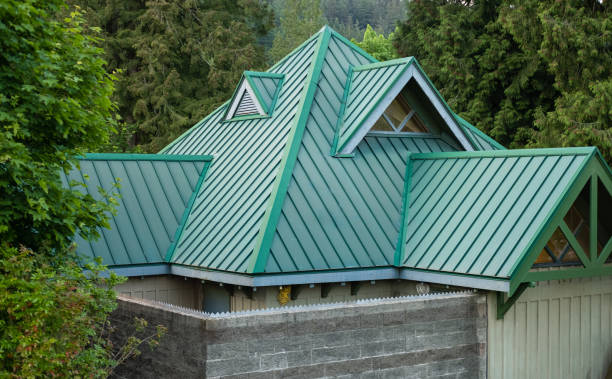 Best Roof Leak Repair  in Cheboygan, MI