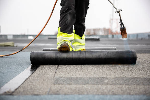 Best Emergency Roof Repair Services  in Cheboygan, MI